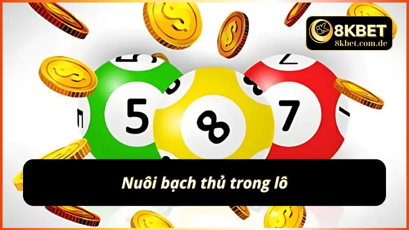 Nuôi bạch thủ trong lô