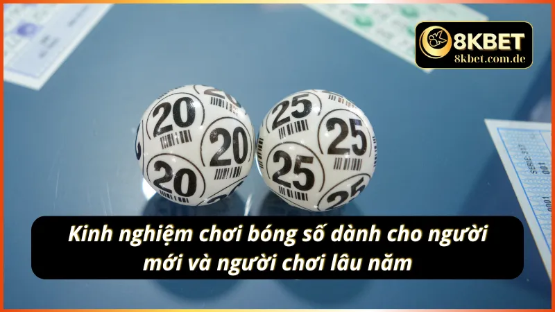 Kinh nghiệm chơi bóng số dành cho người mới và người chơi lâu năm