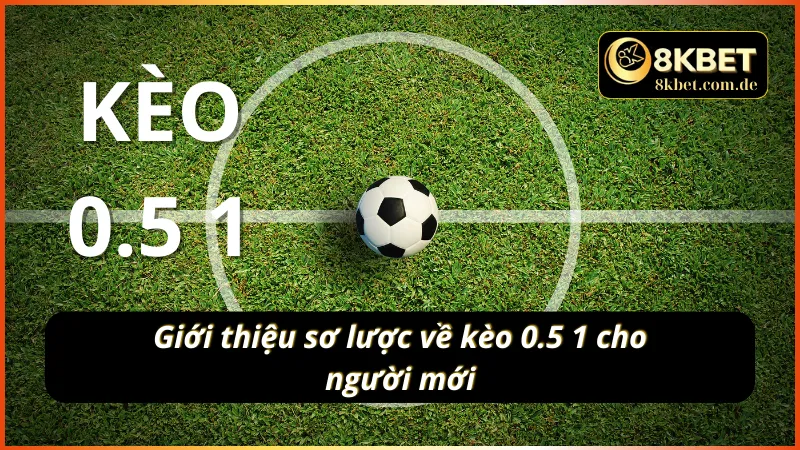 Giới thiệu sơ lược về kèo 0.5 - 1 cho người mới