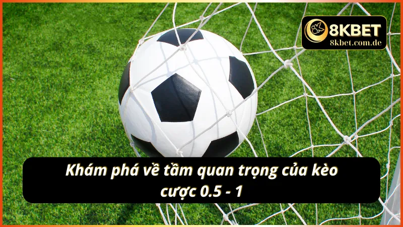 Khám phá về tầm quan trọng của kèo 0.5 1