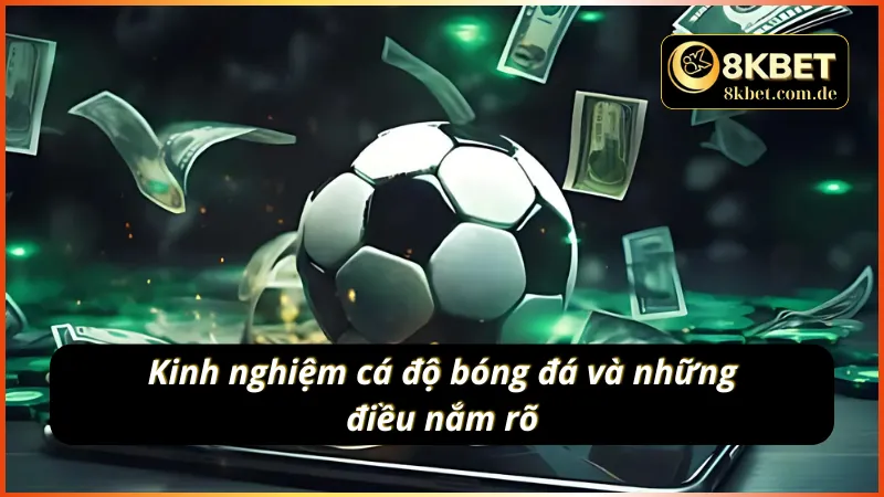 Những yếu tố xoay quanh và kinh nghiệm cá độ bóng đá