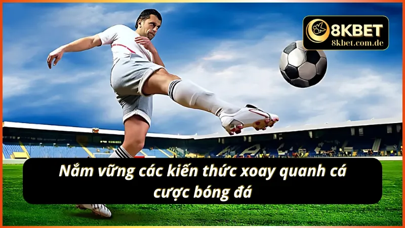 Cá cược bóng đá và những điều bạn chưa biết