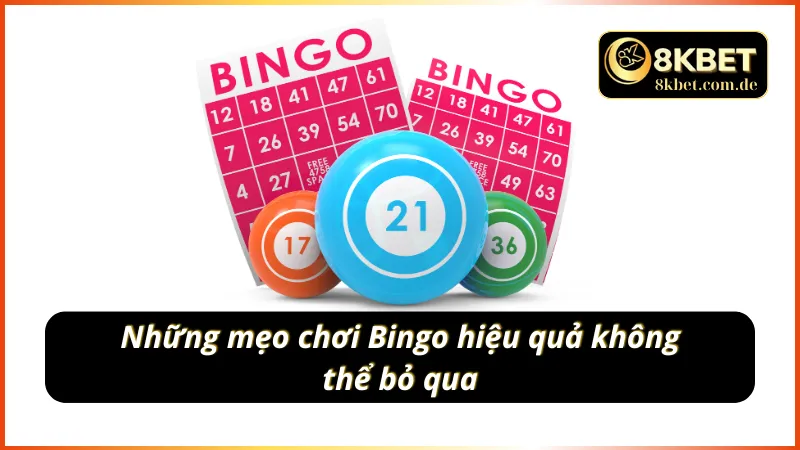 Những mẹo chơi Bingo hiệu quả không thể bỏ qua