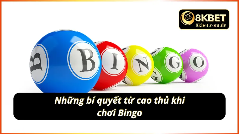 Những mẹo chơi bingo hiệu quả bí quyết từ cao thủ