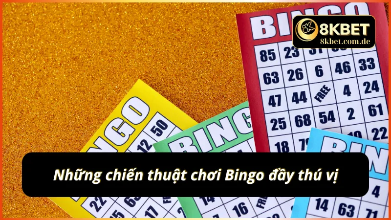 Những chiến thuật chơi Bingo đầy thú vị