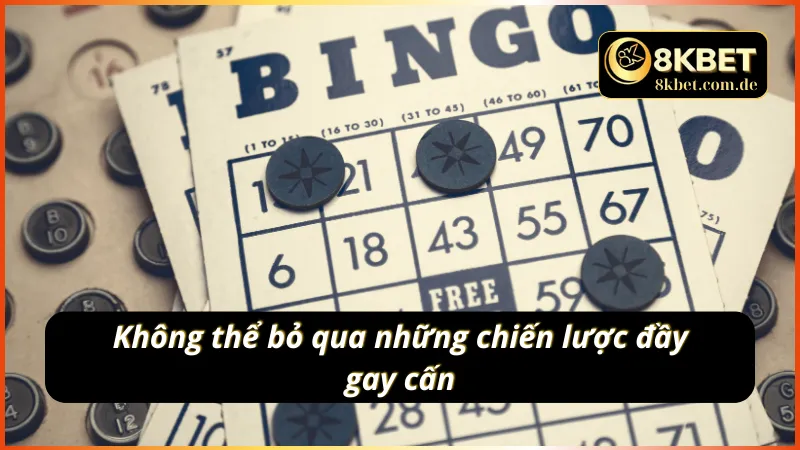 Không thể bỏ qua những chiến lược đầy gay cấn khi áp dụng mẹo chơi bingo hiệu quả