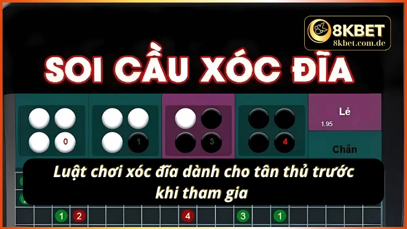 Luật đặt cược xóc đĩa newbie cần biết 