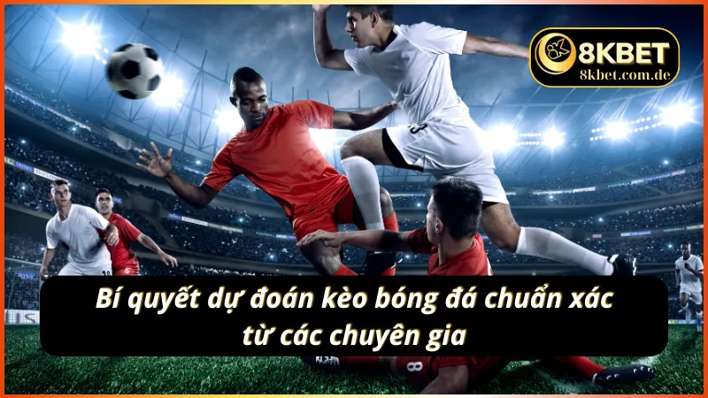 Bí kíp soi kèo bóng đá hiệu quả từ các bậc thầy