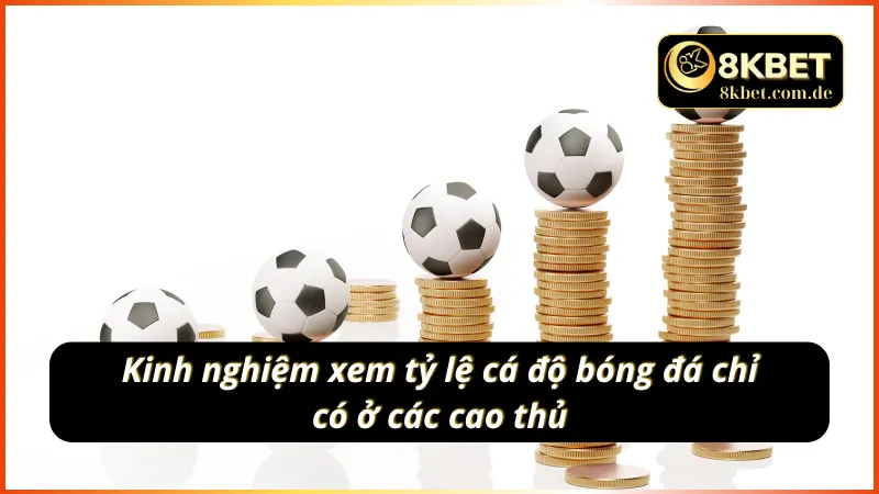 Cẩm nang giành thắng lớn khi xem tỷ lệ cá cược của cao thủ