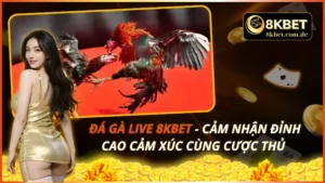Đá Gà Live 8KBET