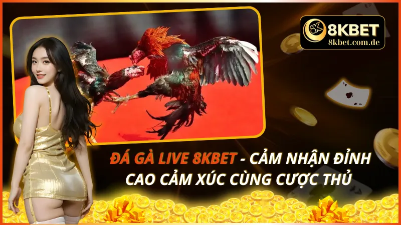 Đá Gà Live 8KBET