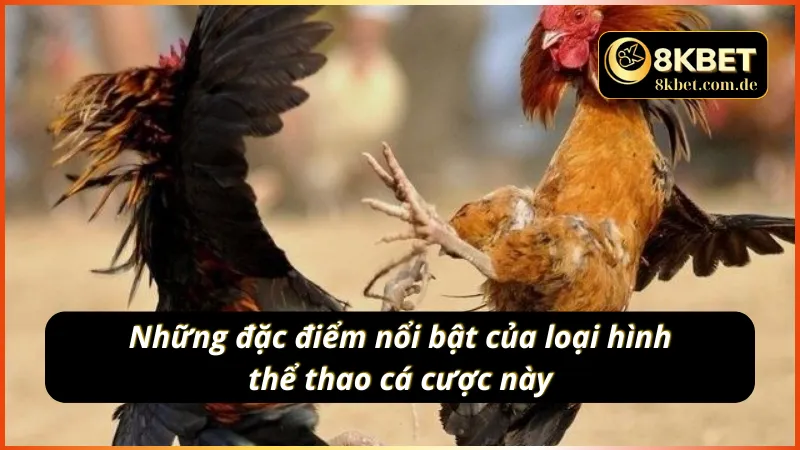 Các đặc điểm nổi bật về đá gà Thomo