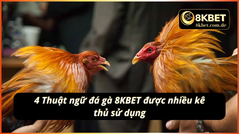 Danh mục các thuật ngữ đá gà 8KBET hay được sử dụng