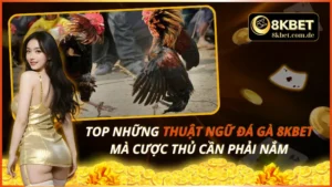 Thuật Ngữ Đá Gà 8KBET